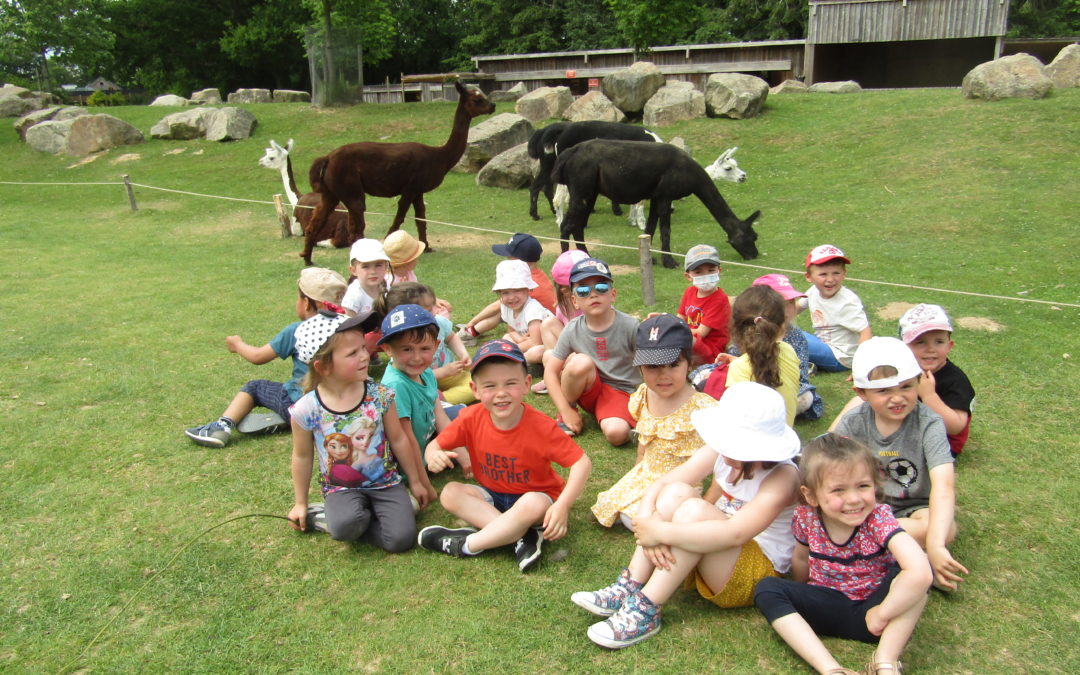 Sortie au parc de Branféré